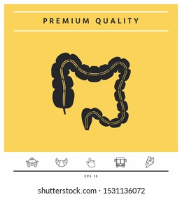 Human organ - the large intestine. Graphic elements for your design