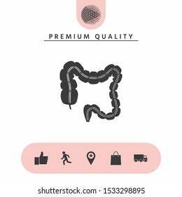 Human organ - the large intestine. Graphic elements for your design