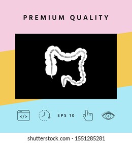 Human organ - the large intestine. Graphic elements for your design