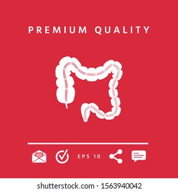 Human organ - the large intestine. Graphic elements for your design