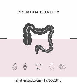 Human organ - the large intestine. Graphic elements for your design
