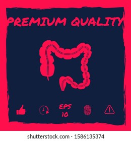 Human organ - the large intestine. Graphic elements for your design