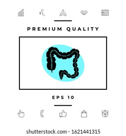Human organ - the large intestine. Graphic elements for your design