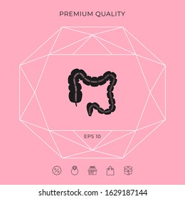 Human organ - the large intestine. Graphic elements for your design