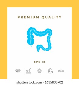 Human organ - the large intestine. Graphic elements for your design