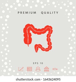 Human organ - the large intestine. Graphic elements for your design