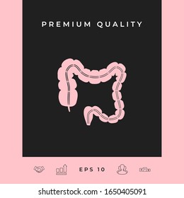 Human organ - the large intestine. Graphic elements for your design