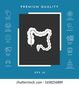 Human organ - the large intestine. Graphic elements for your design