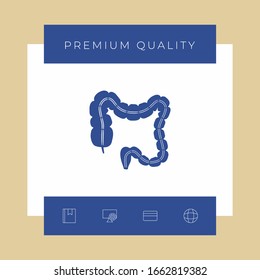 Human organ - the large intestine. Graphic elements for your design