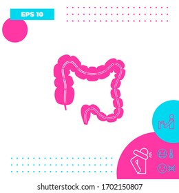 Human organ - the large intestine. Graphic elements for your design