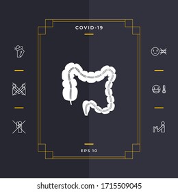 Human organ - the large intestine. Graphic elements for your design