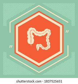 Human organ - the large intestine. Graphic elements for your design