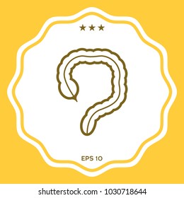 Human organ - the large intestine icon