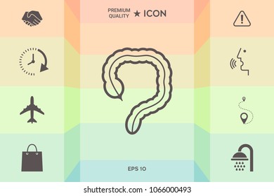Human organ - the large intestine icon