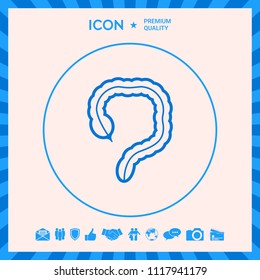Human organ - the large intestine icon