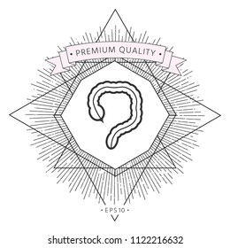 Human organ - the large intestine icon