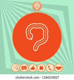 Human organ - the large intestine icon
