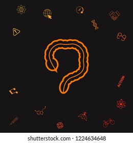 Human organ - the large intestine icon. Graphic elements for your design