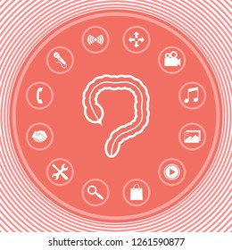 Human organ - the large intestine icon. Graphic elements for your design