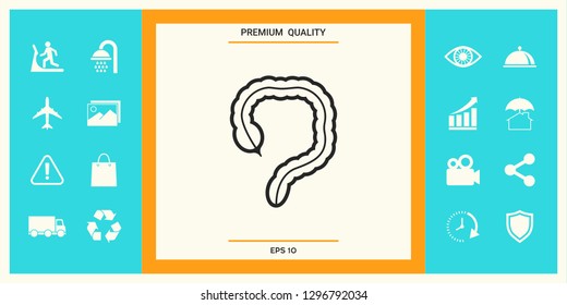 Human organ - the large intestine icon. Graphic elements for your design