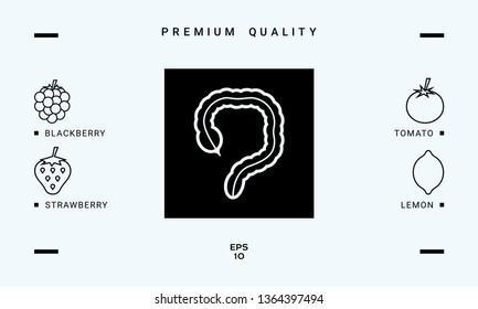 Human organ - the large intestine icon. Graphic elements for your design