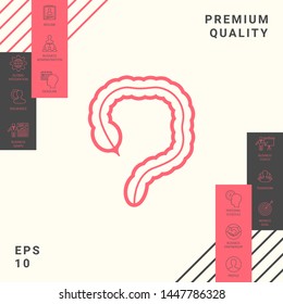 Human organ - the large intestine icon. Graphic elements for your design