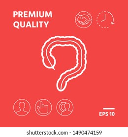 Human organ - the large intestine icon. Graphic elements for your design