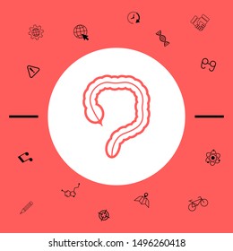 Human organ - the large intestine icon. Graphic elements for your design