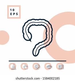 Human organ - the large intestine icon. Graphic elements for your design