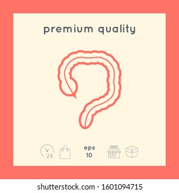 Human organ - the large intestine icon. Graphic elements for your design