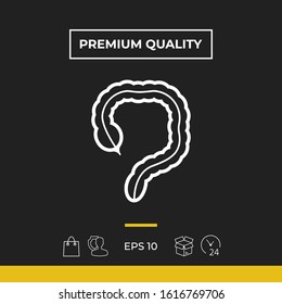 Human organ - the large intestine icon. Graphic elements for your design