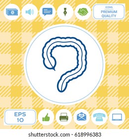 Human organ - the large intestine icon