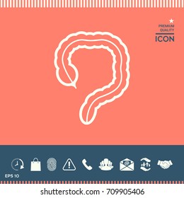 Human organ - the large intestine icon