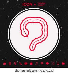 Human organ - the large intestine icon