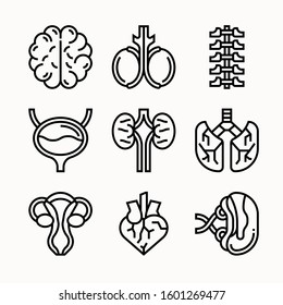 Human Organ of Line vector icons