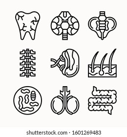 Human Organ of Line vector icons