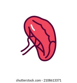 Human organ spleen color line icon. Isolated vector element. Outline pictogram for web page, mobile app, promo