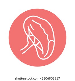 Human organ spleen color line icon. Isolated vector element. Outline pictogram for web page, mobile app, promo