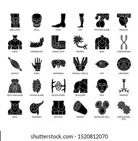 Human Organ , Thin Line and Pixel Perfect Icons