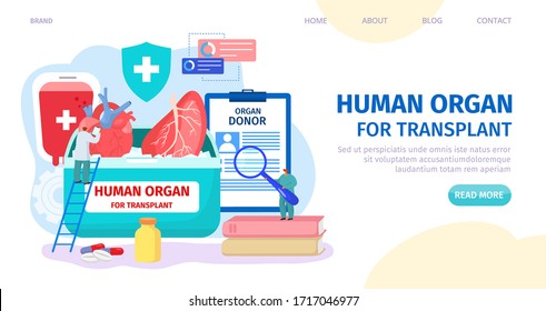 Human Organ For Transplant, Donor Landing Vector Illustration. Clinic Web Page, Organ Donor Search. Doctor Character Check Heart, Kidney. Man Nurse In Uniform Look Through Donor Form.