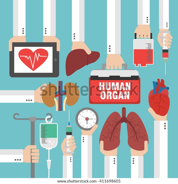 Human Organ Transplantation Design Flatvector Illustration Stock Vector ...