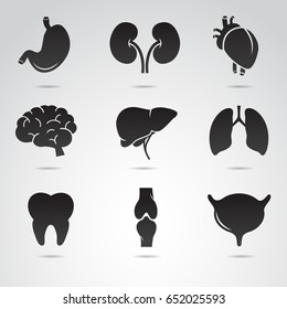 Human organ vector icon set: stomach, kidney, heart, brain, liver, lungs, tooth, bone, bladder.