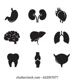 Human organ vector icon set: stomach, kidney, heart, brain, liver, lungs, tooth, bone, bladder.