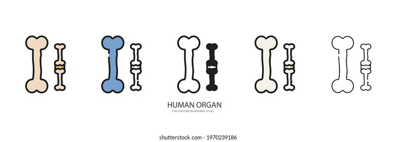 Human organ vector type icon