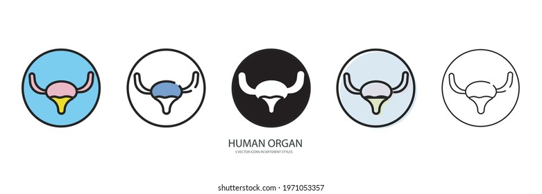 Human organ vector type icon