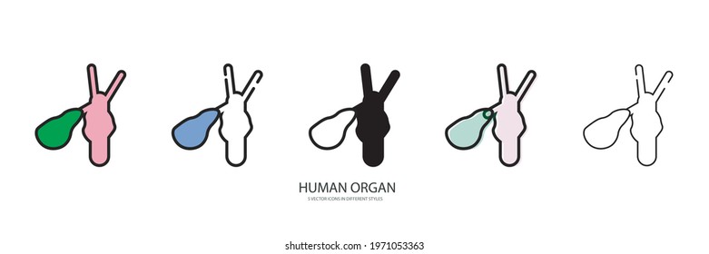 Human organ vector type icon