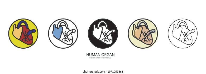 Human organ vector type icon