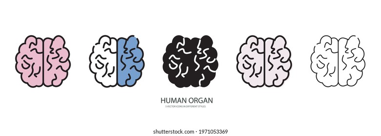 Human organ vector type icon