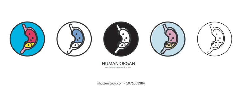 Human organ vector type icon