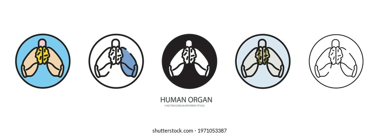 Human organ vector type icon